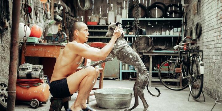 black dog #cin&eacute;-club