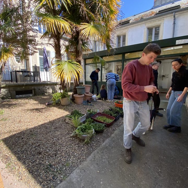 f&ecirc;te du printemps et atelier greffe