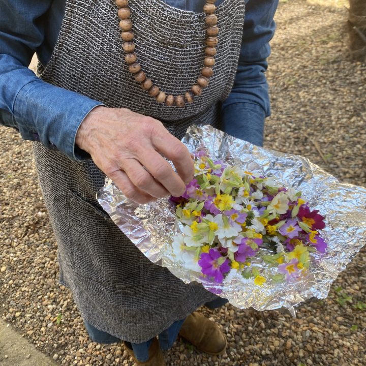 f&ecirc;te du printemps et atelier greffe