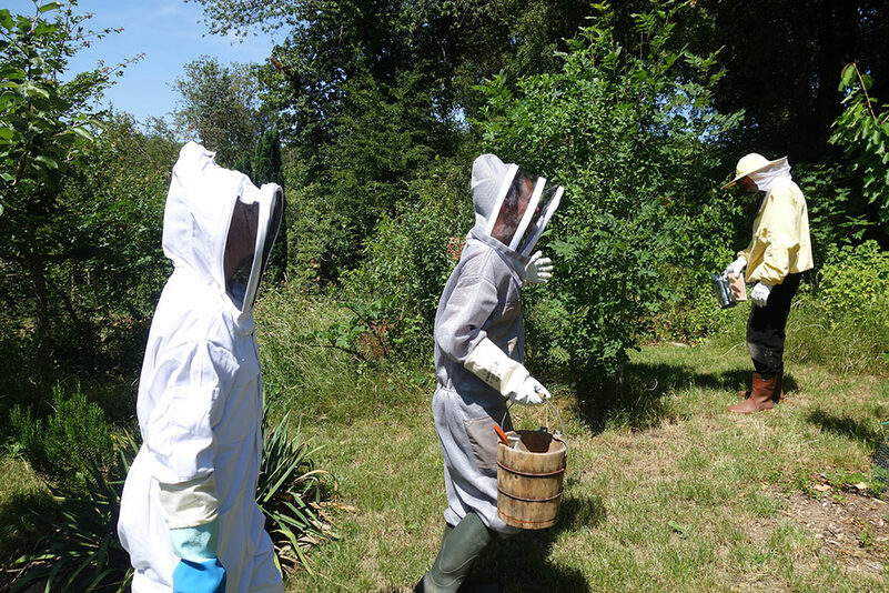 journ&eacute;e d'initiation &agrave; l'apiculture !