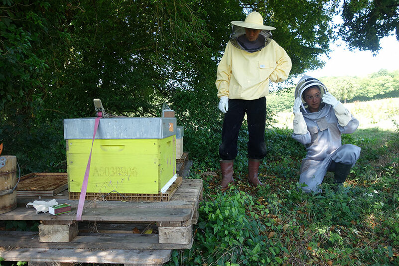 journ&eacute;e d'initiation &agrave; l'apiculture !