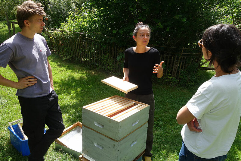 journ&eacute;e d'initiation &agrave; l'apiculture !