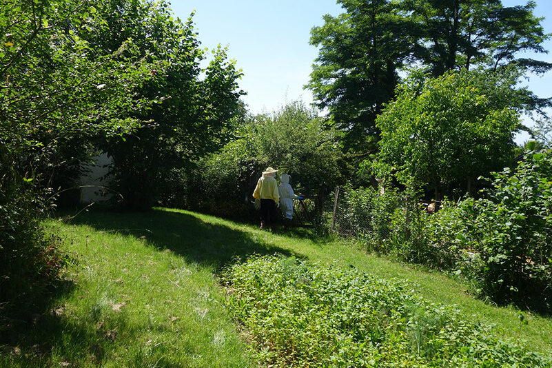 journ&eacute;e d'initiation &agrave; l'apiculture !