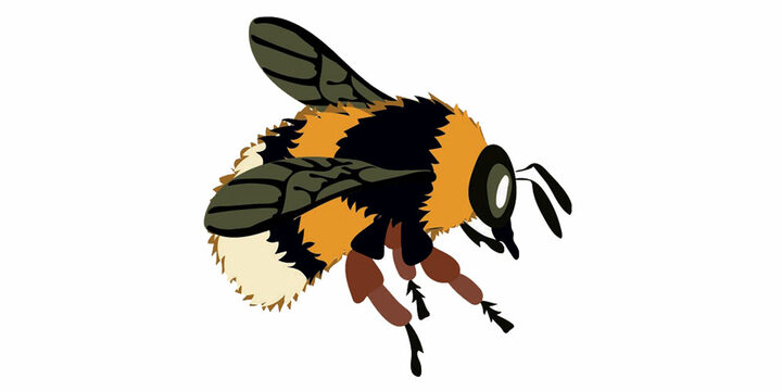 Journ&eacute;e d'initiation &agrave; l'apiculture !