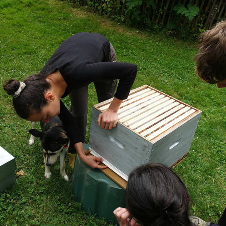 journ&eacute;e d'initiation &agrave; l'apiculture !