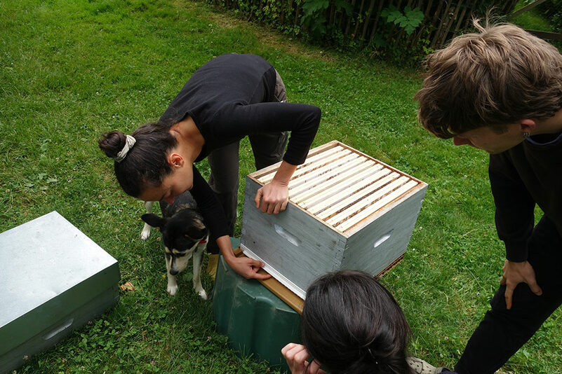journ&eacute;e d'initiation &agrave; l'apiculture !