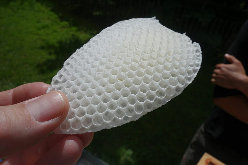 journ&eacute;e d'initiation &agrave; l'apiculture !