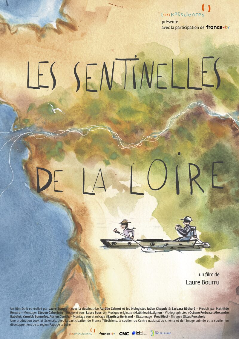#Documentaire, Les Sentinelles de Loire de Laure Bourru
