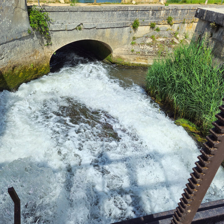 Les derniers m&egrave;tres du Nohain avant de rejoindre la Loire.