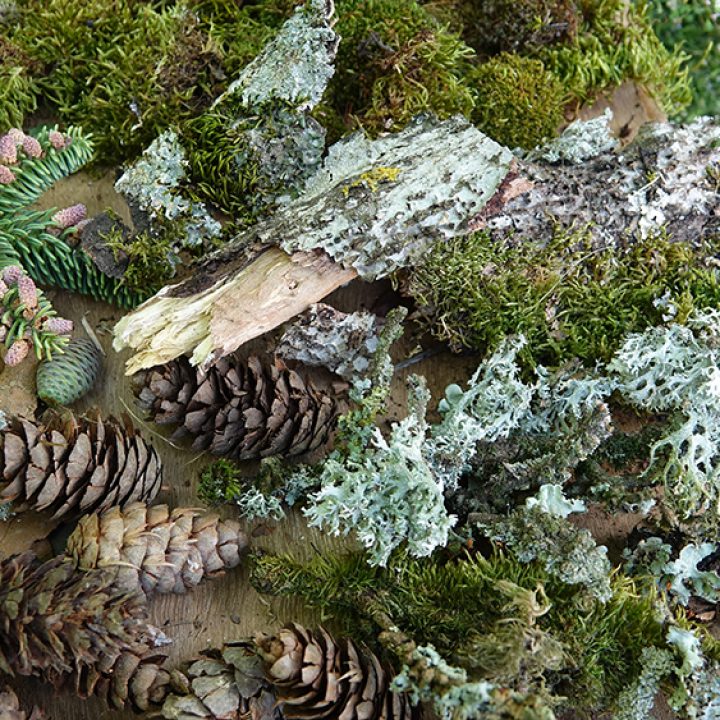parures et masques de nature