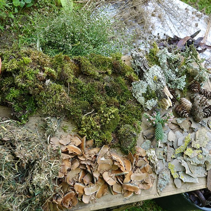 parures et masques de nature