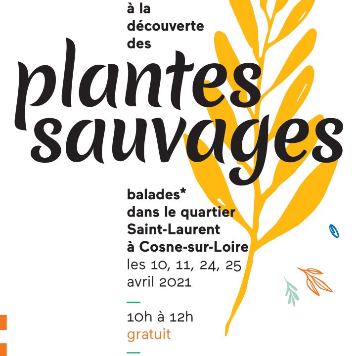 plantes sauvages