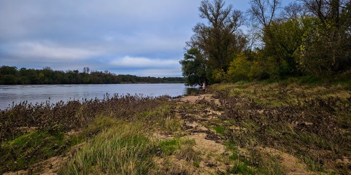 Bords de Loire en novembre 2024