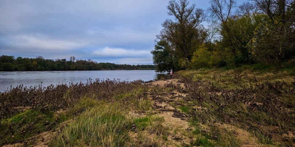 Bords de Loire en novembre 2024