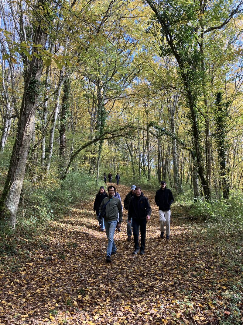 Seconde sortie en for&ecirc;t autour de Saint-Loup