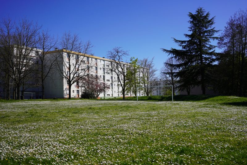 parc Schweitzer