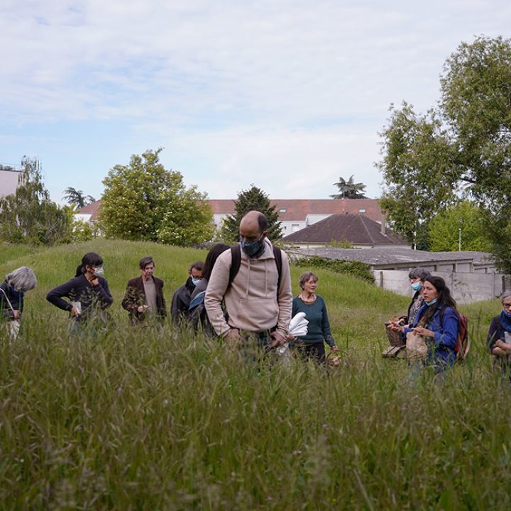 d&eacute;ambulation dans le parc Schweitzer