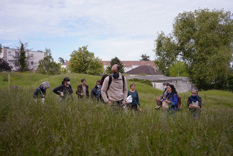 d&eacute;ambulation dans le parc Schweitzer