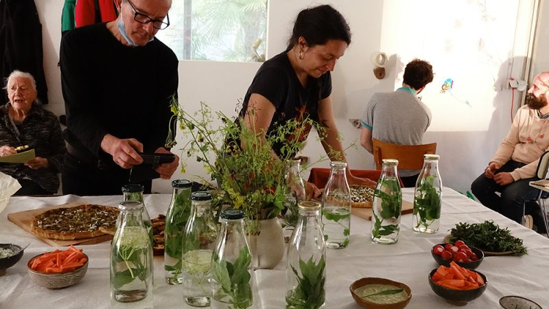 plantes sauvages