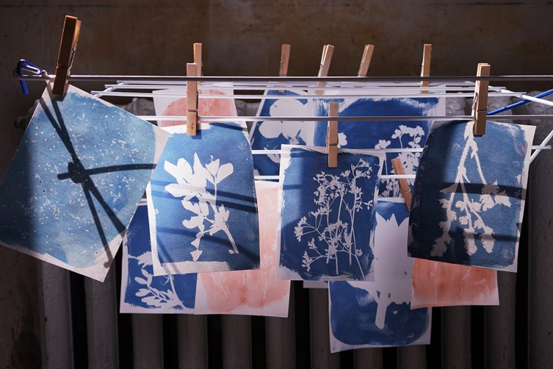 r&eacute;alisation de cyanotype