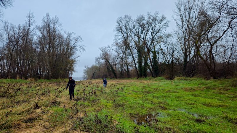 &Agrave; la recherche des &ecirc;tres qui vivent sur les bords de la Loire en tentant de se mettre &agrave; leur place.