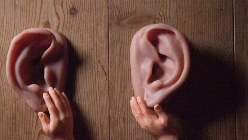 Oreilles en silicone.