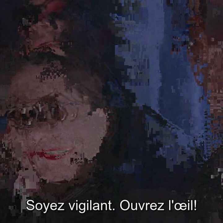 capture d'&eacute;cran de l'Arm&eacute;e des douze singes