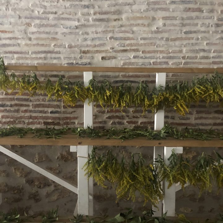 d&icirc;ners immersifs
