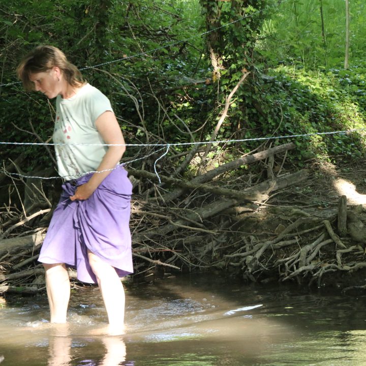 et au milieu coule une rivi&egrave;re...