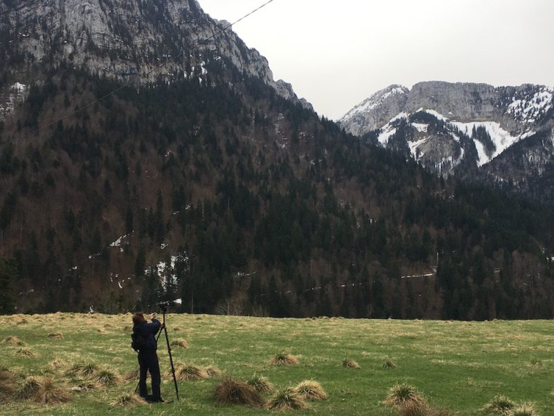 fii an danse inc&ograve; vierje