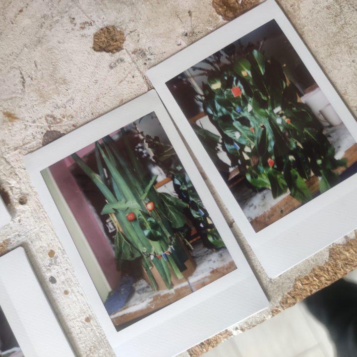 prises de vues des masques au polaro&iuml;d