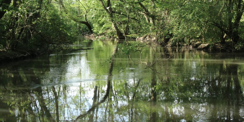 Milieu rivi&egrave;re&hellip; R&eacute;cits rivi&egrave;res