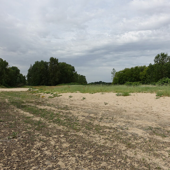 vue du site en direction de la Loire