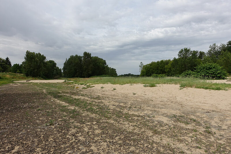 vue du site en direction de la Loire